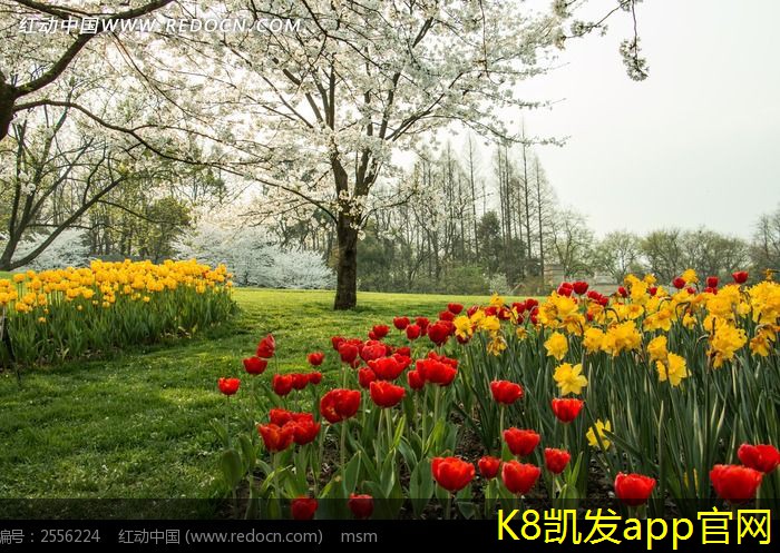 止回閥的安裝注意事項(xiàng)