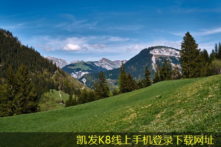 止回閥選型指南