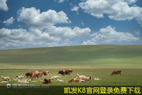 渦凹?xì)飧C的創(chuàng)新技術(shù)研究