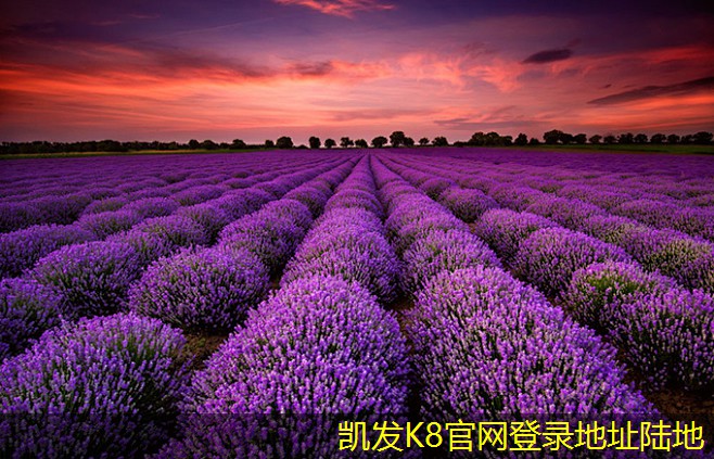 深入了解一體化地埋式污水處理設(shè)備的工作原理