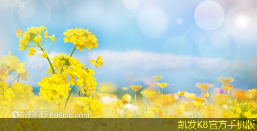 現(xiàn)代建筑中多葉排煙口的創(chuàng)新應(yīng)用