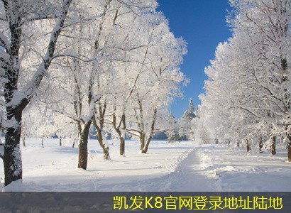 電動(dòng)調(diào)節(jié)閥與氣動(dòng)調(diào)節(jié)閥的比較
