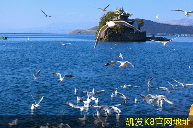 直膨式空調(diào)機(jī)組的噪音控制技術(shù)
