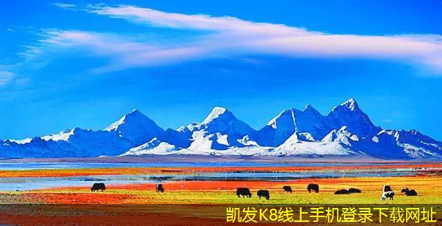 管道過濾器的重要性如何影響水質(zhì)