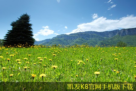 蛋格式風口如何重塑行業(yè)格局
